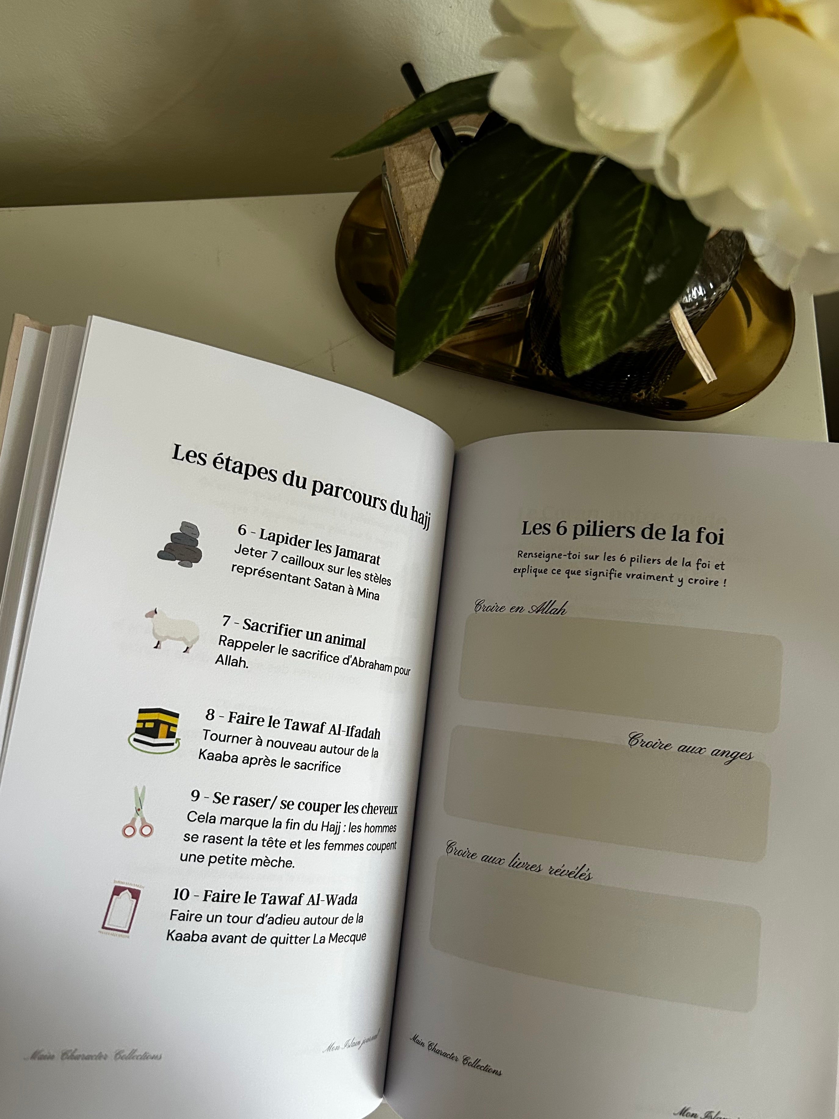 Mon Islam journal : Revenir à l'essentiel