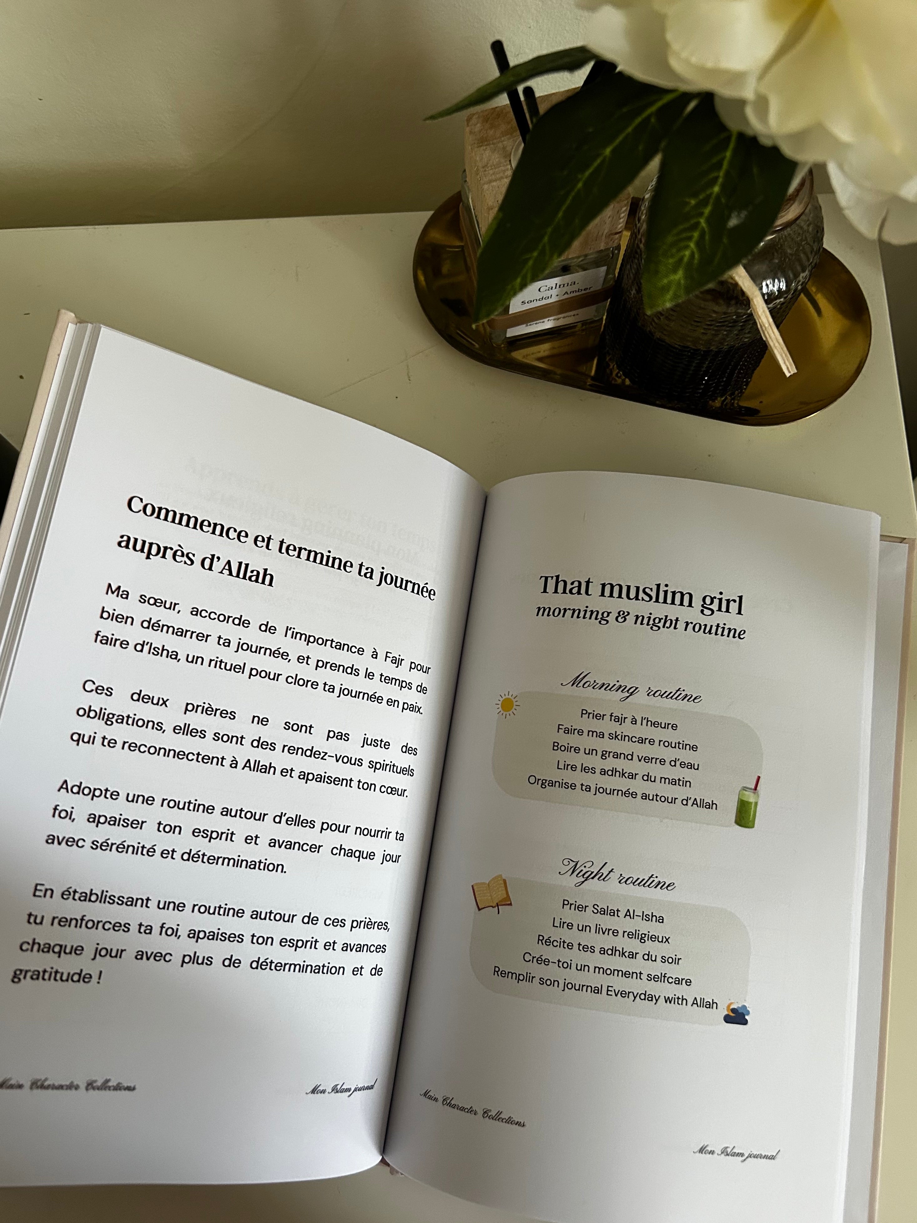 Mon Islam journal : Revenir à l'essentiel