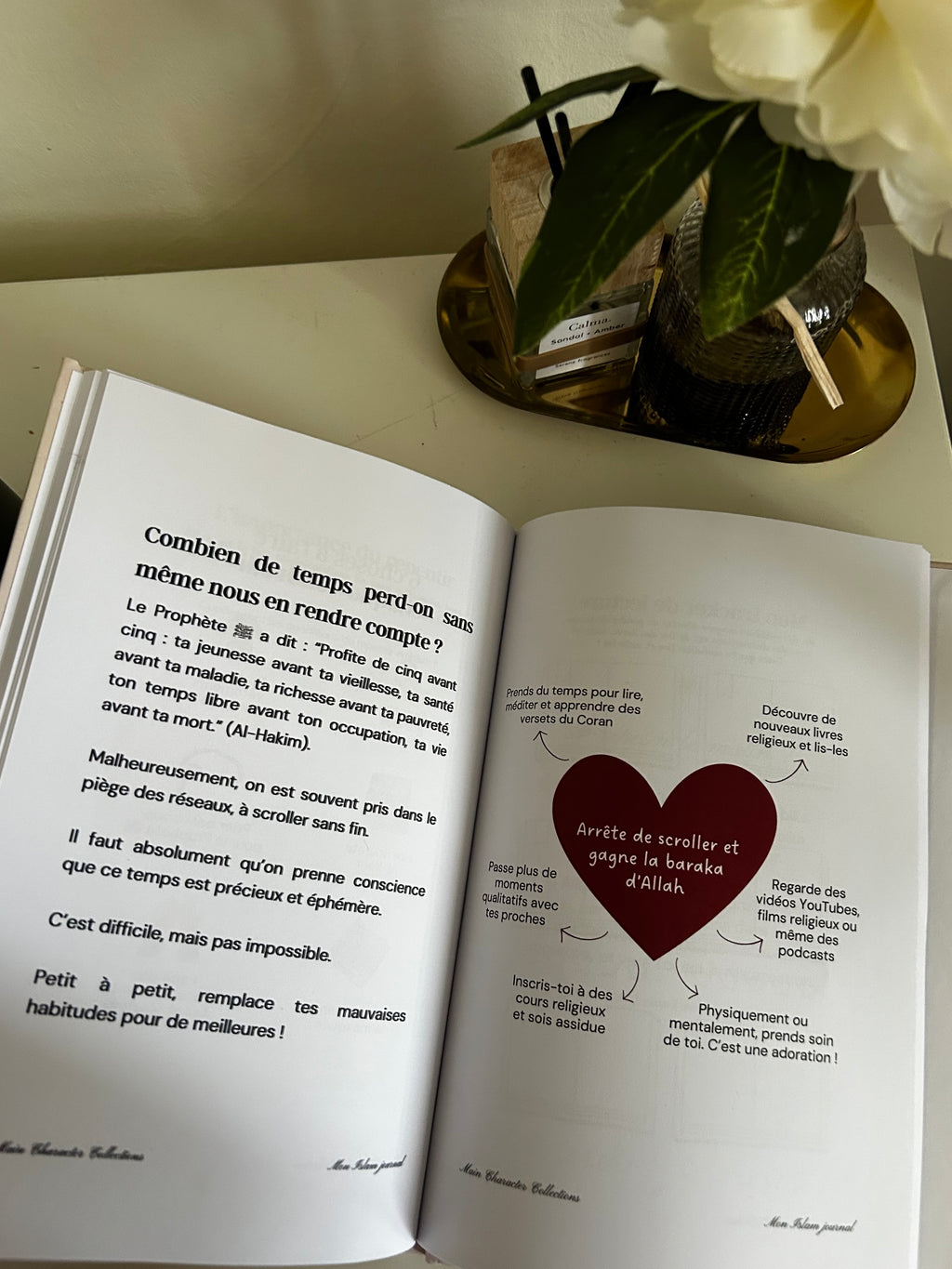 Mon Islam journal : Revenir à l'essentiel